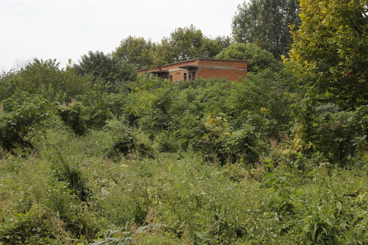 武汉市第七砖瓦厂陈建华,武汉砖瓦厂的发展现状