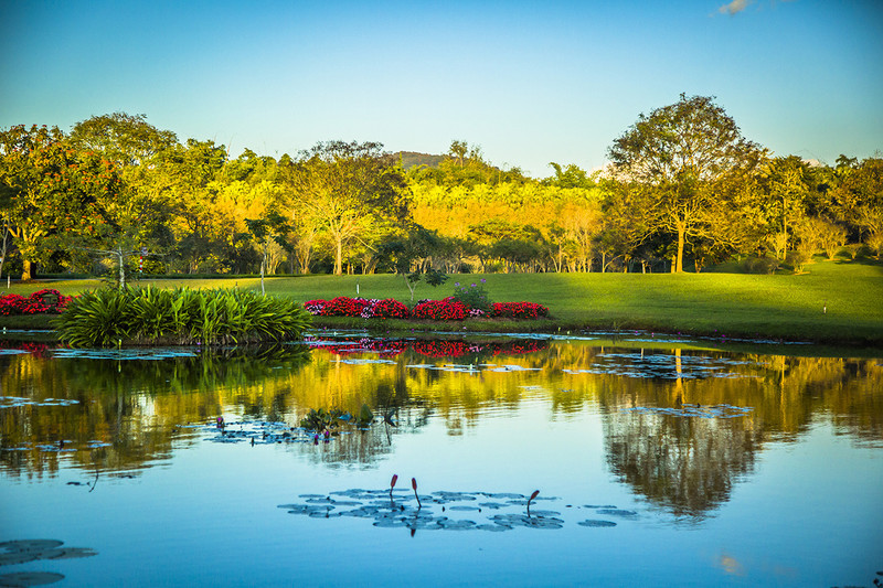 到西双版纳过大年，六日出行超详细吃，住，行攻略