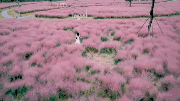 5.1黄金周景区,5.1黄金周名品狂欢