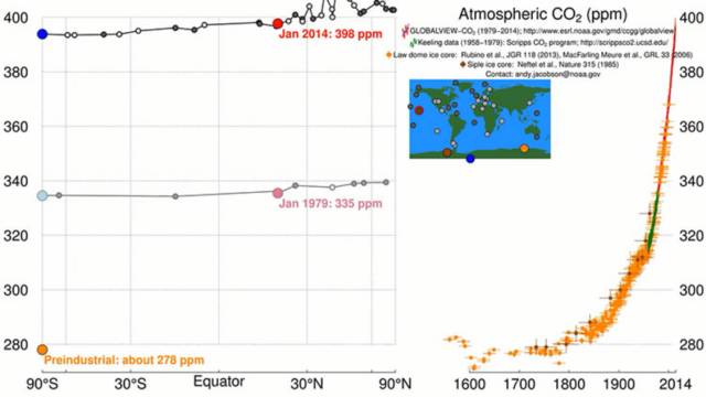 考拉或将被列为濒危物种，人类只要活着，就在物种灭绝做“贡献”