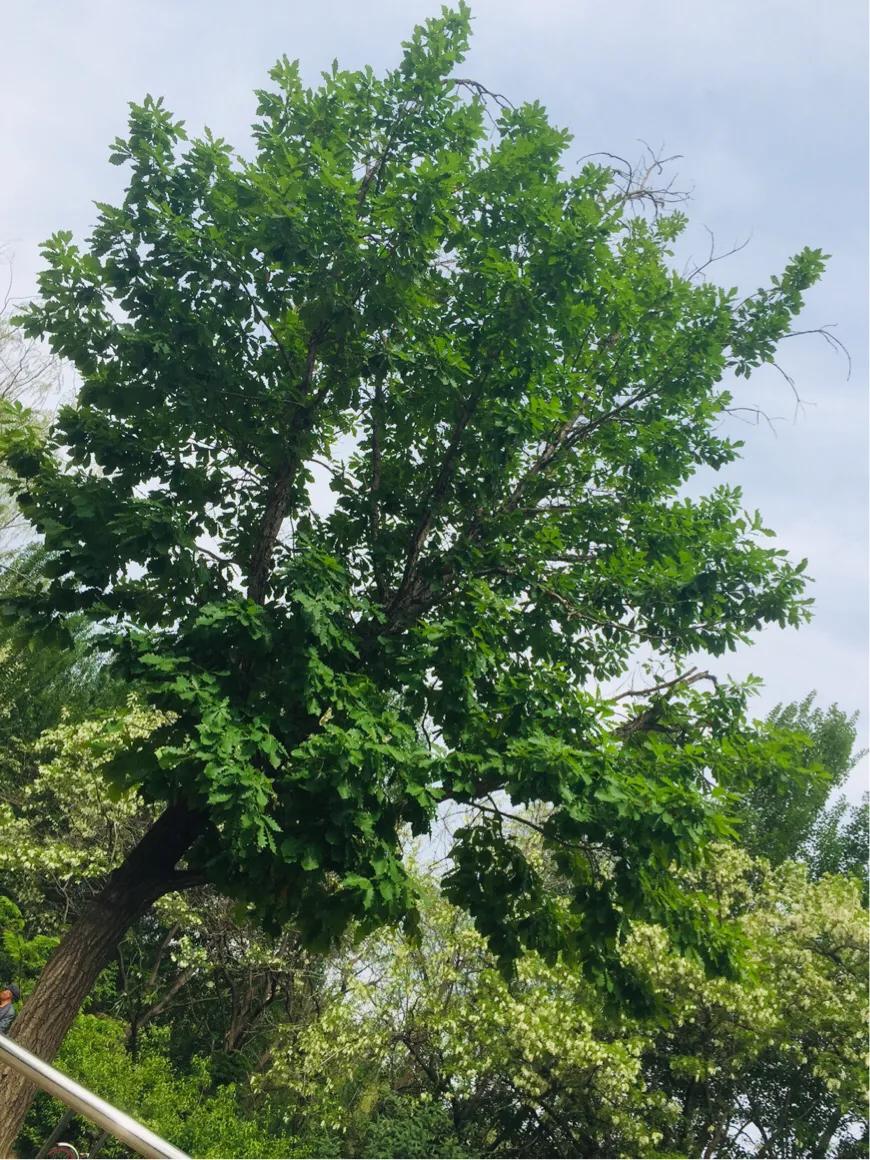 生活的琐碎平淡,生活的琐碎