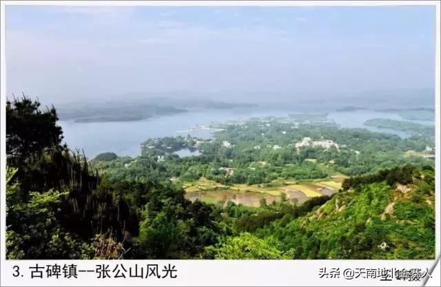 你好我叫王思聪微博截图,你好我叫阿杰