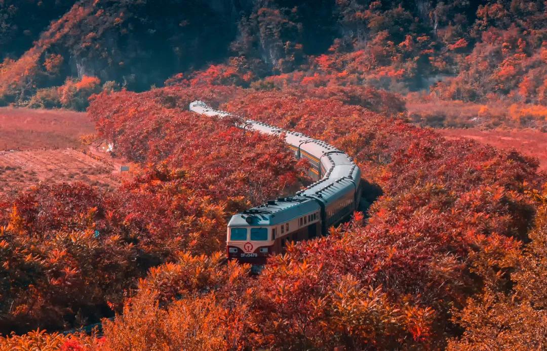 爱上大连的N个理由,爱上内蒙古的n个理由