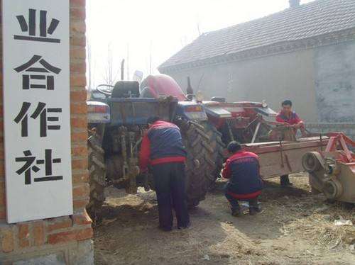 现在的农村发展什么项目能致富,农村未来发展赚钱的项目是什么