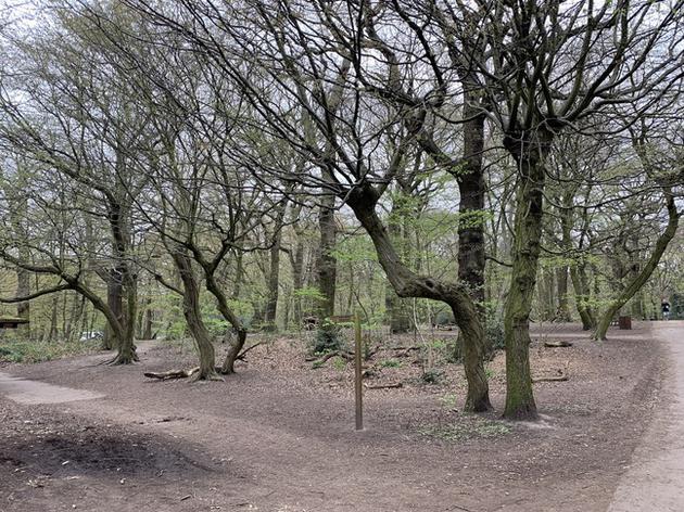 外媒华为p30pro,华为p30pro深度评价