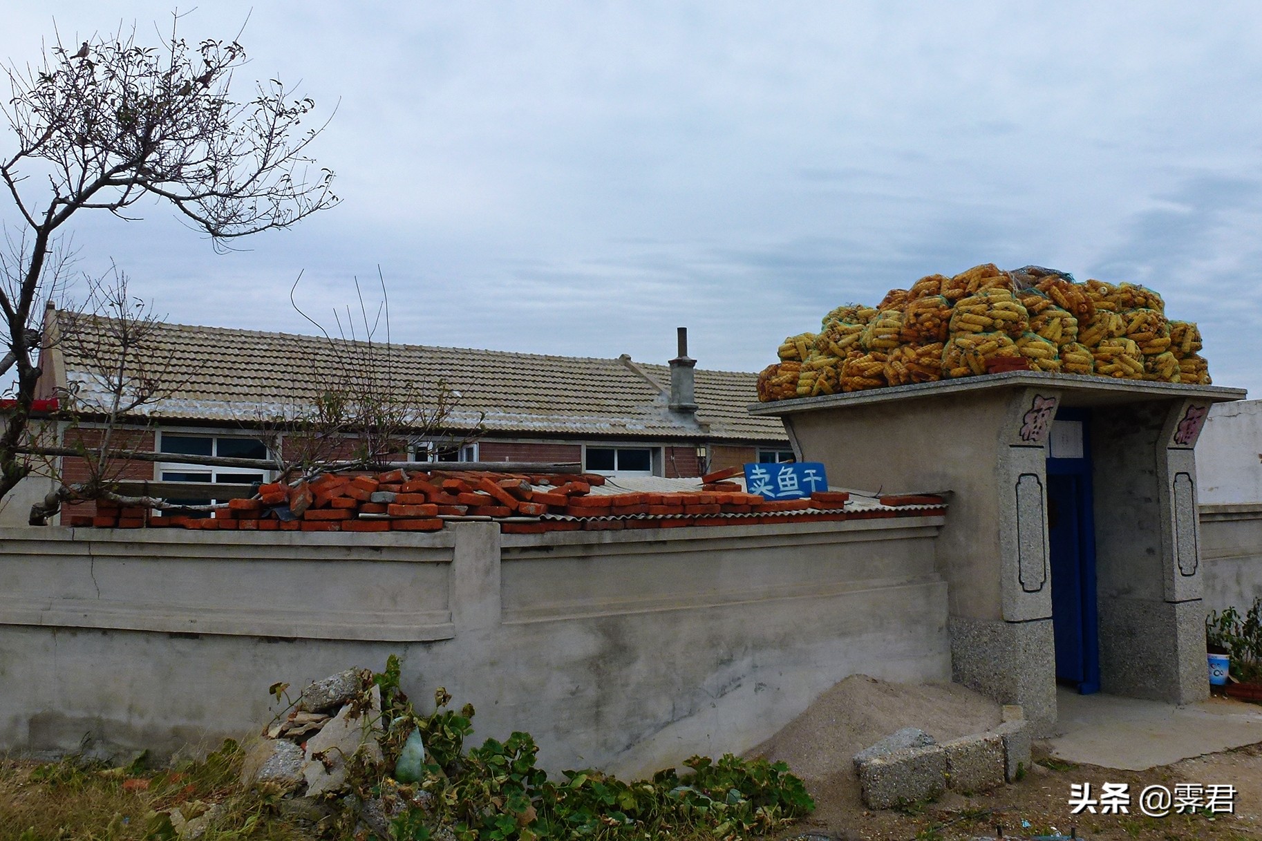 大连皮口港当天往返攻略,大连皮口港坐船攻略