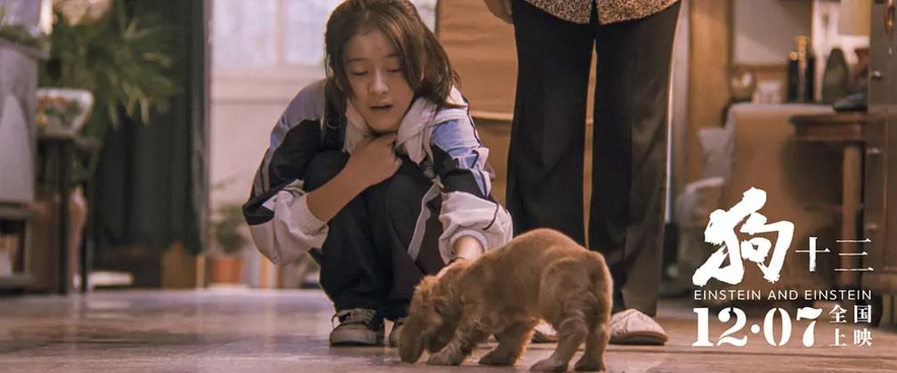 收藏最多的电视剧,收藏最多的电影