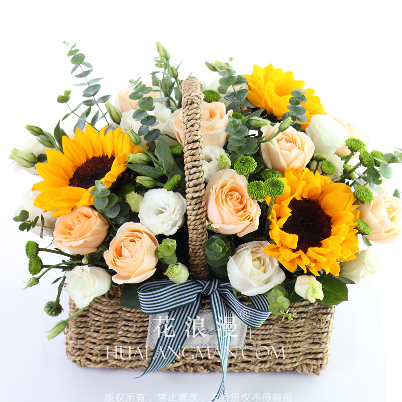 送老师哪种花最好,老师生日送哪种鲜花好看