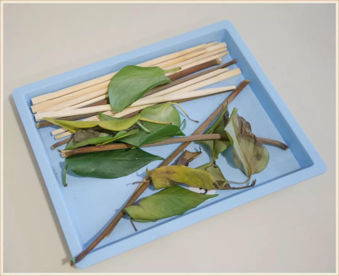 环境创设主题墙大班动物,可爱的小动物大班环境创设