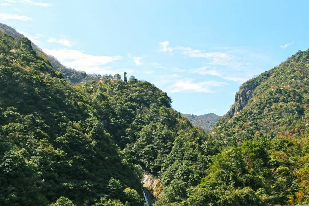 宁波避暑耍水胜地,宁波森林氧吧景区