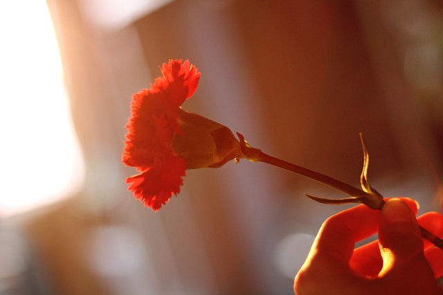 纯爱电竞之老流氓攻套路纯情受