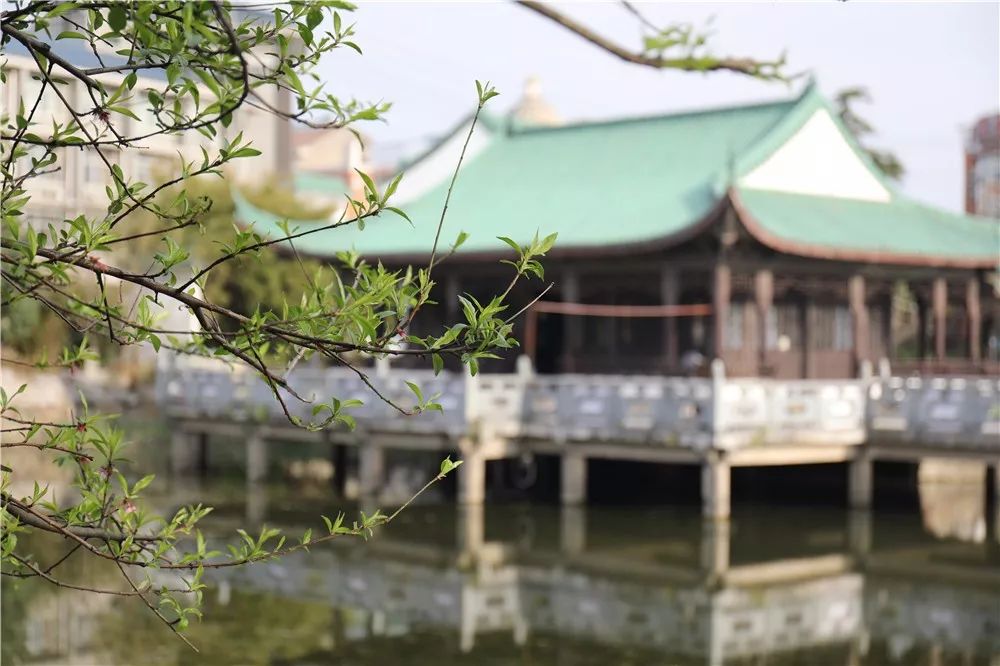 江阴利港中山公园,江阴利港美景