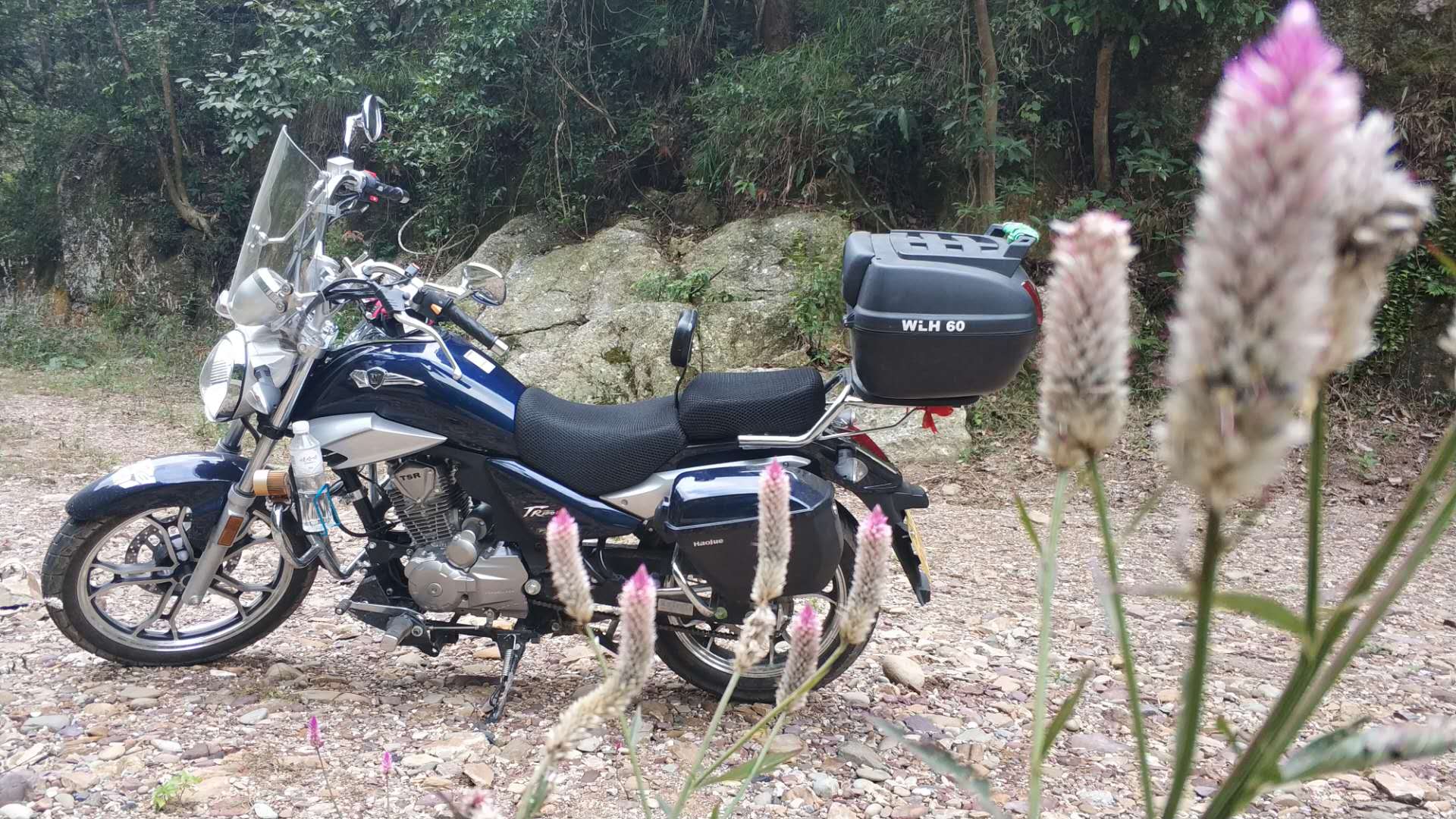 另类小太子一一豪爵TR150是我的菜