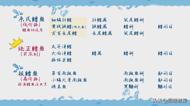 我们买到的鳕鱼是什么鳕鱼,我们买的鳕鱼为什么没头