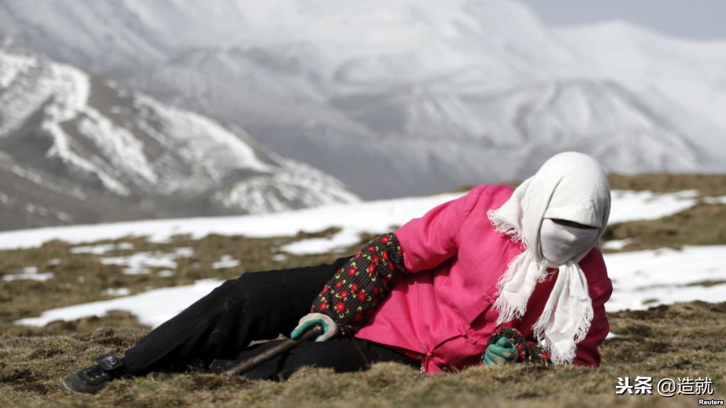 寄生虫如果灭绝不会更好吗,世界最珍贵的寄生虫