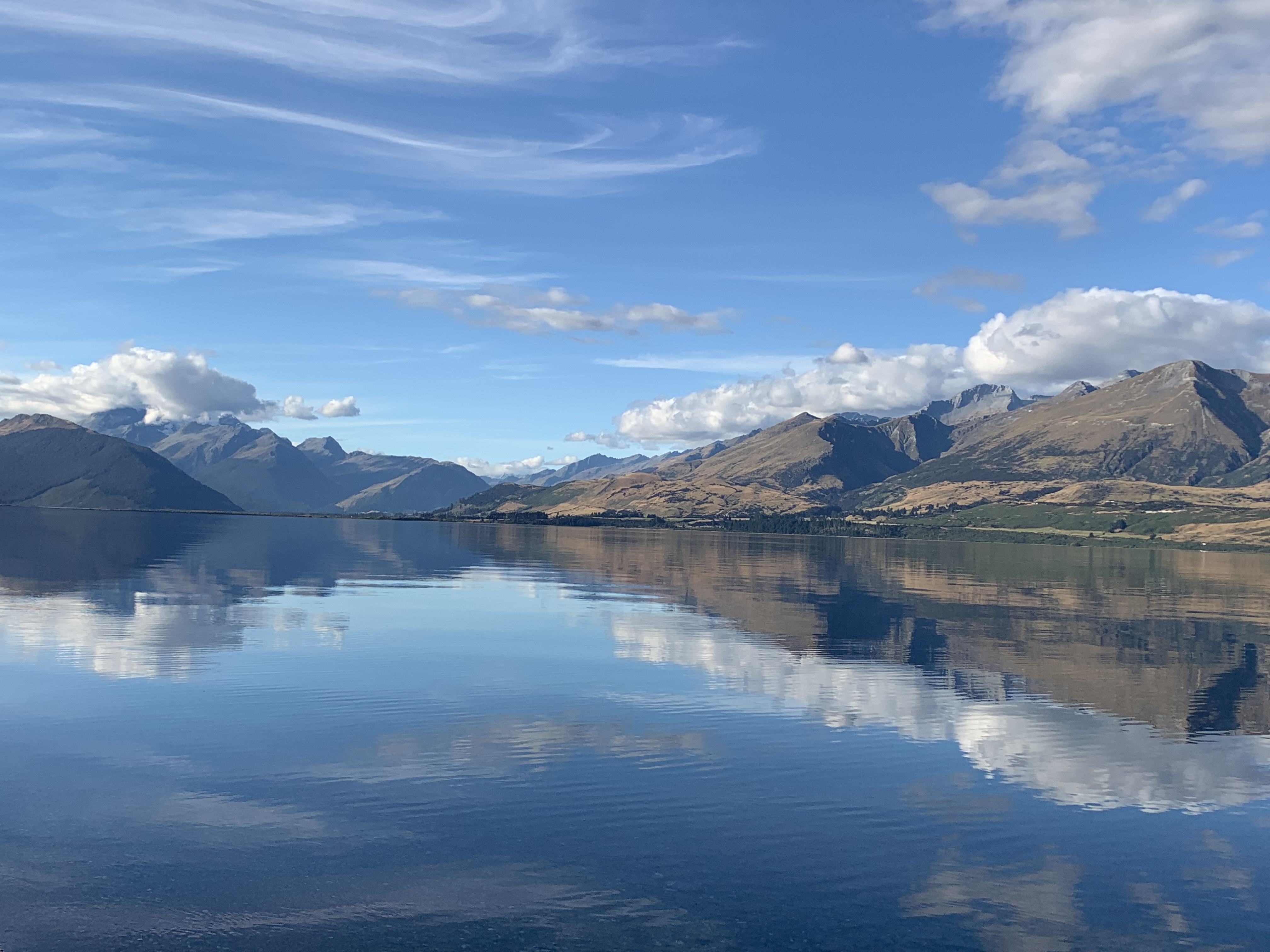 生活在新西兰有多幸福,生活在童话里的国家