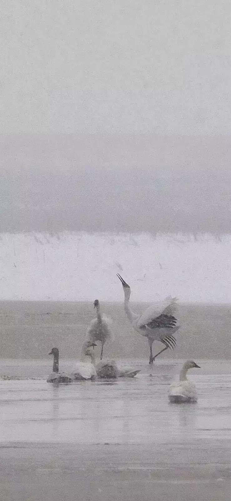 杭州西湖隐于山林之间的酒店,西湖云端酒店