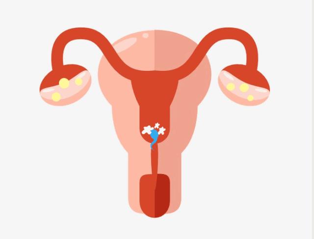 俞敏洪给北大上课,俞敏洪演讲批评教育