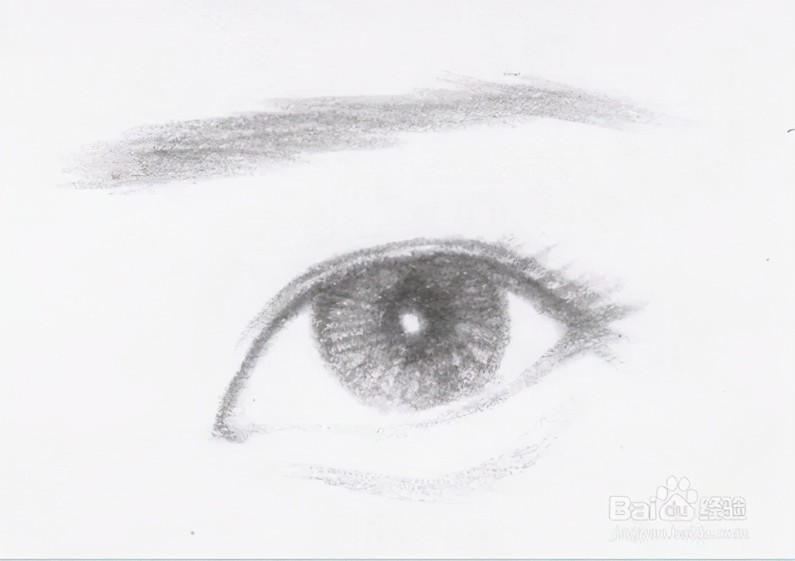 眼型对应的眉形,怎么根据自己的眼型判断眉型