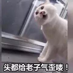 眉毛印章智商税,眉毛印章工具