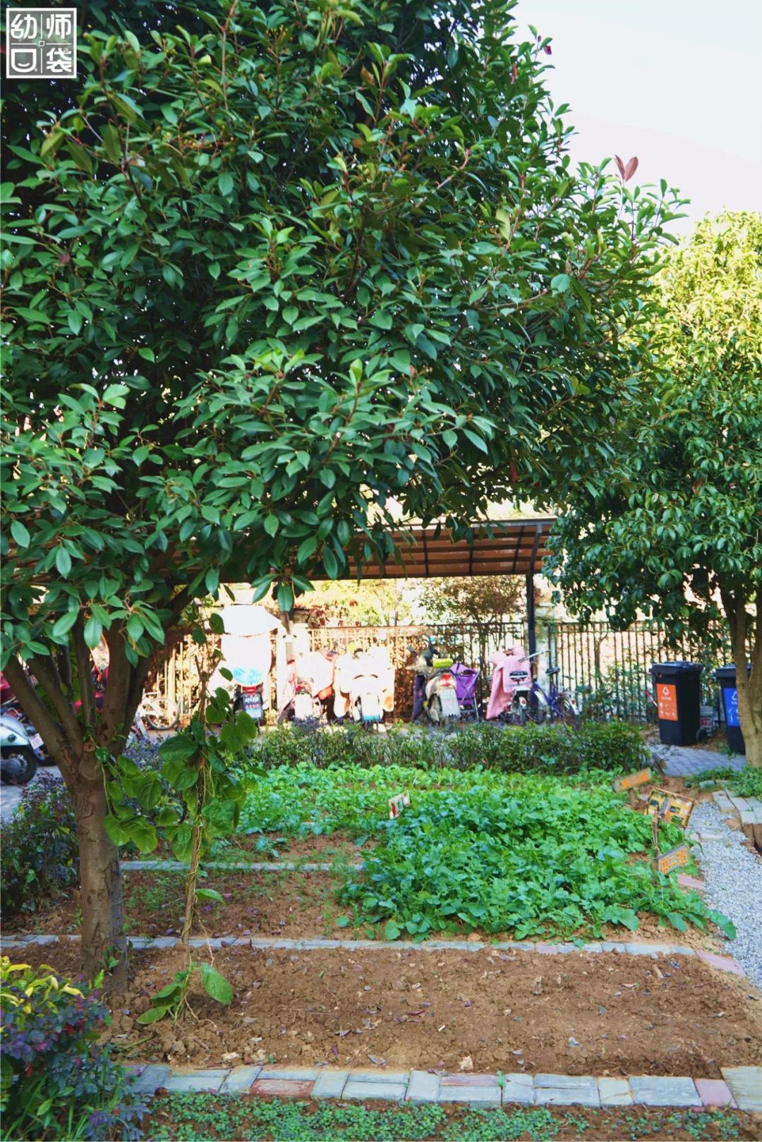 这里有最好的自然、最野的运动、最幸福的老师和孩子丨走进幼儿园