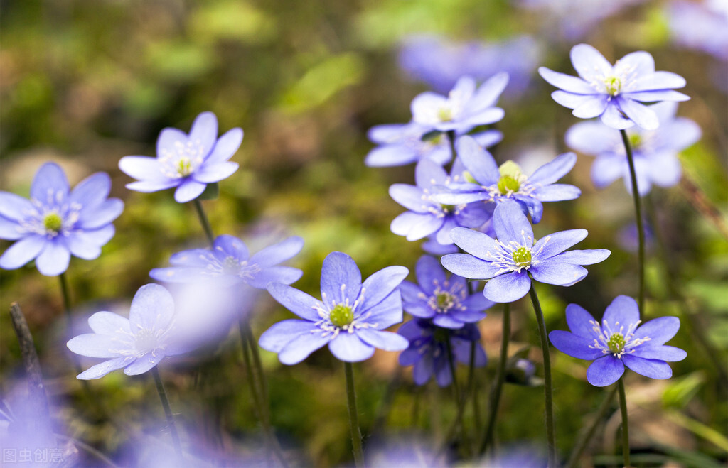 男人老婆不在身边他会怎样,男人老婆不在身边会怎样