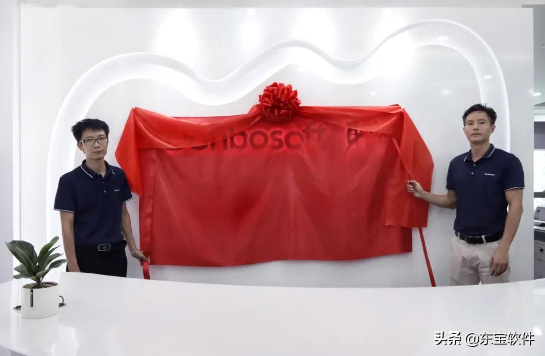 东宝软件核心愿景,东宝软件的发展前景