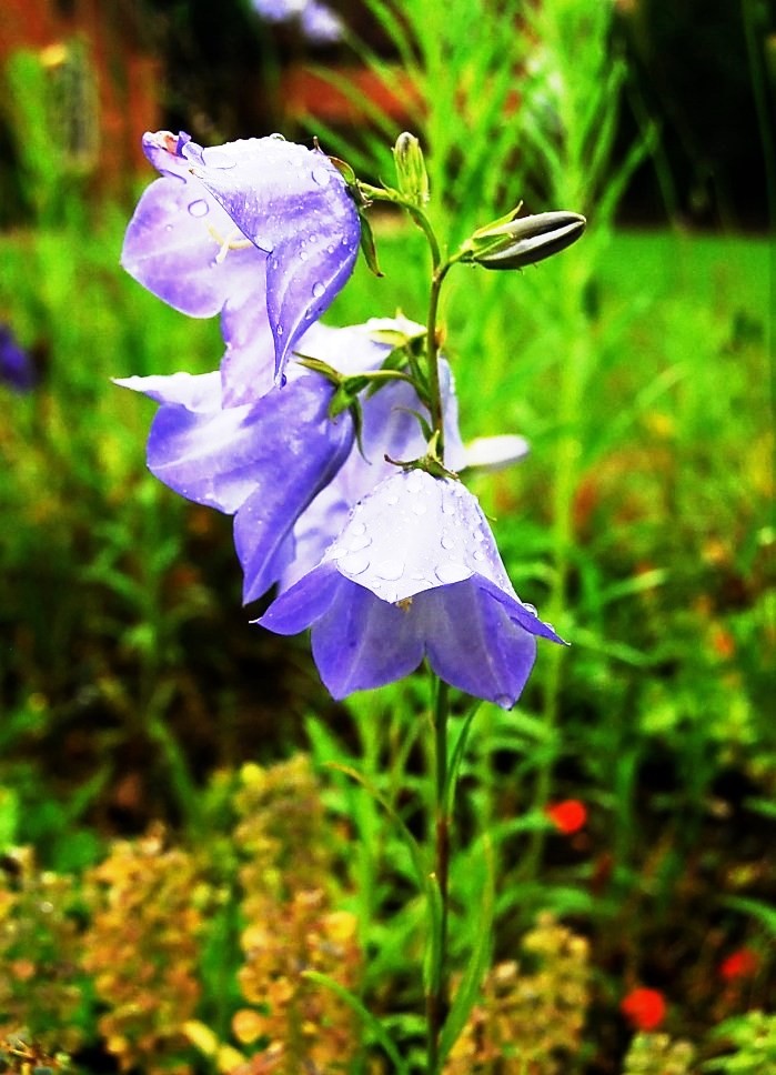 金句励志正能量人生语录大全,激励人心的句子正能量经典语录