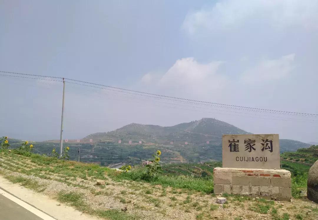 临沂周边田园综合体,临沂十大田园综合体