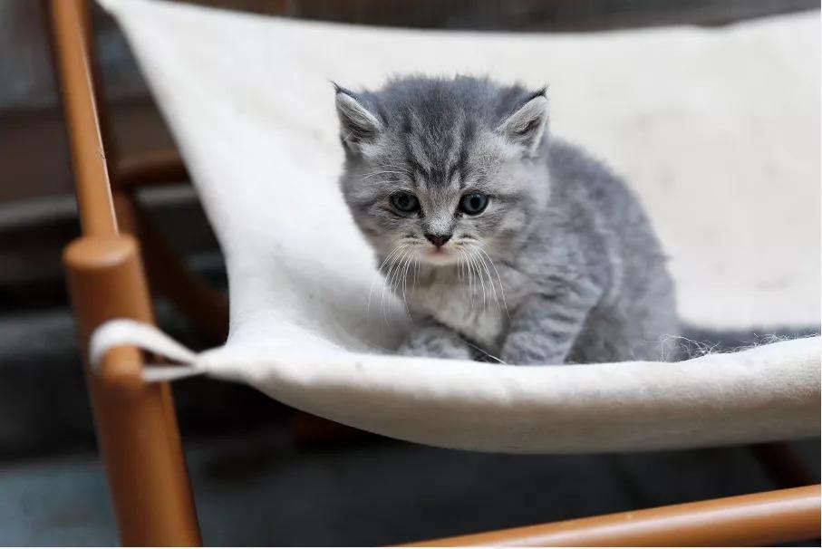 十堰市茅箭区赶集时间,十堰茅箭区约会