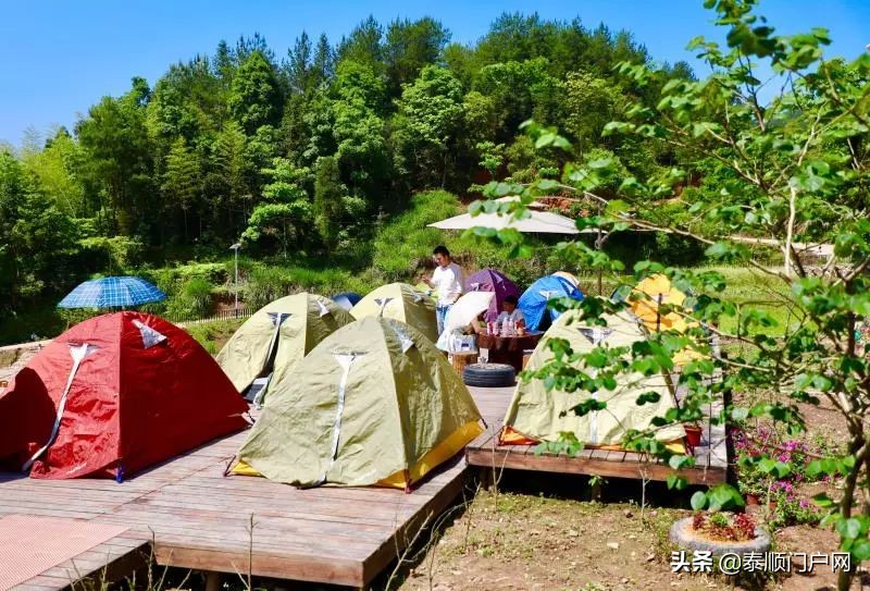 泰顺旅游攻略一日游最佳路线,泰顺最佳旅游路线