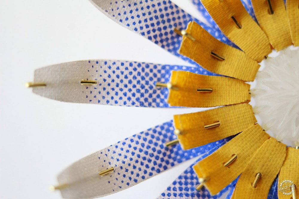 面对城市里日益减少的昆虫,设计师能做些什么?