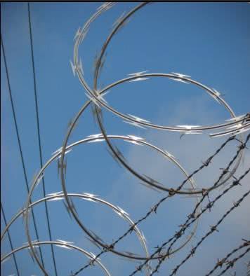 话说铁丝网的科学，一次因为“偷懒”而发明出的东西