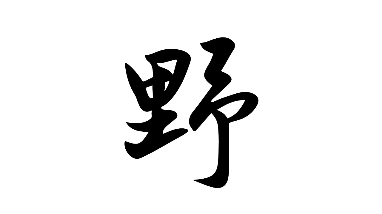 在公司里用Office被喷,“小白刚开始学用什么Office,用WPS!”