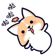 襄阳幼升小学校,襄阳教育小升初排名