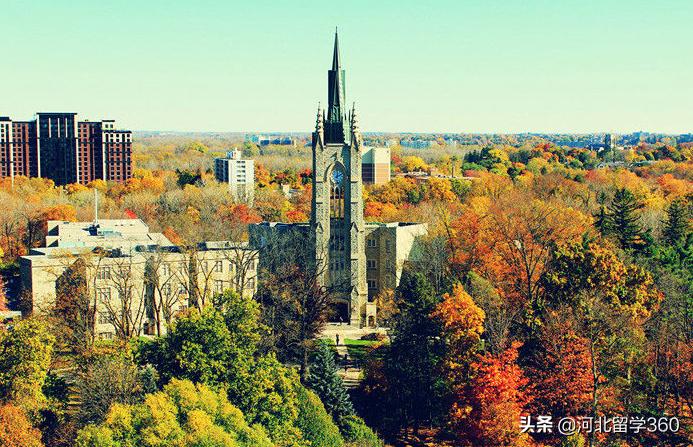 西安大略大学ivey,西安大略大学最值得读的专业