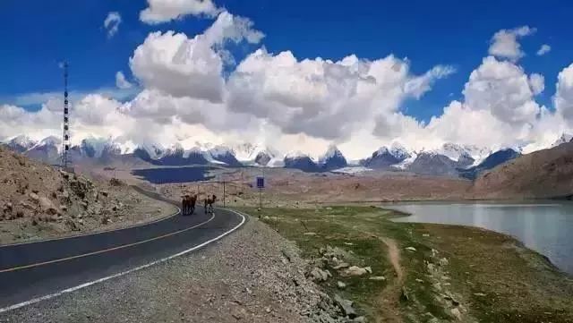 新疆喀什到巴基斯坦需要怎么过去,喀什通巴基斯坦公路