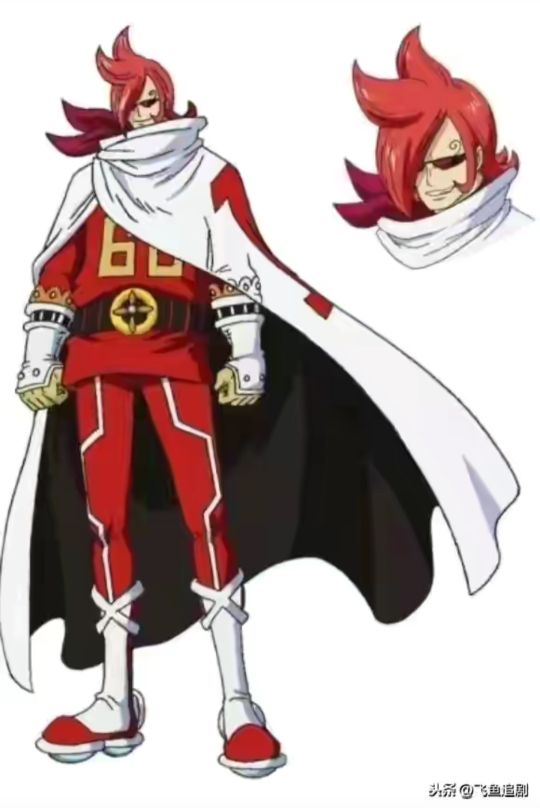 海贼王机械甲,海贼王里特殊的武器