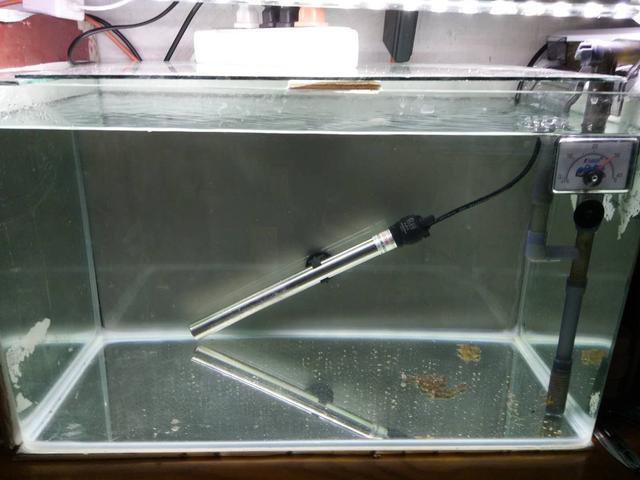 鱼缸三合一水泵必须放在水里吗,鱼缸水泵出水有气泡是什么原因