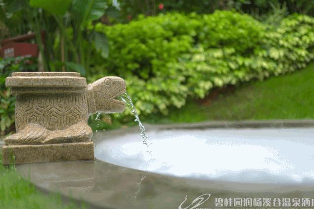 惠州天然温泉酒店带独立温泉池,惠州海滨温泉旅游度假酒店