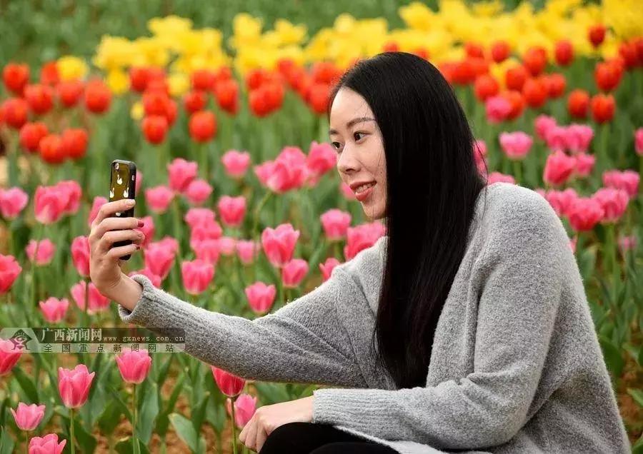 广西河池长寿新闻,河池是中国第一个长寿市吗