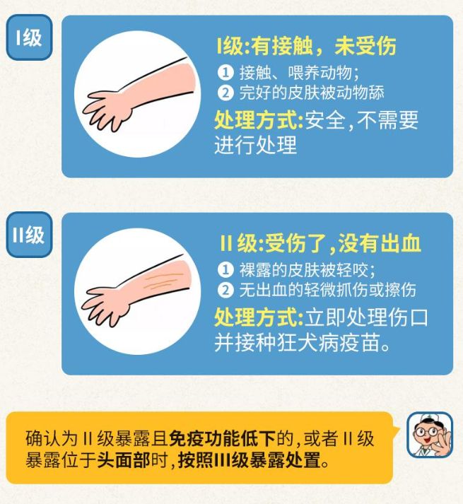 关于狂犬病你不得不知的几个问题,关于狂犬病需要知道的二三事
