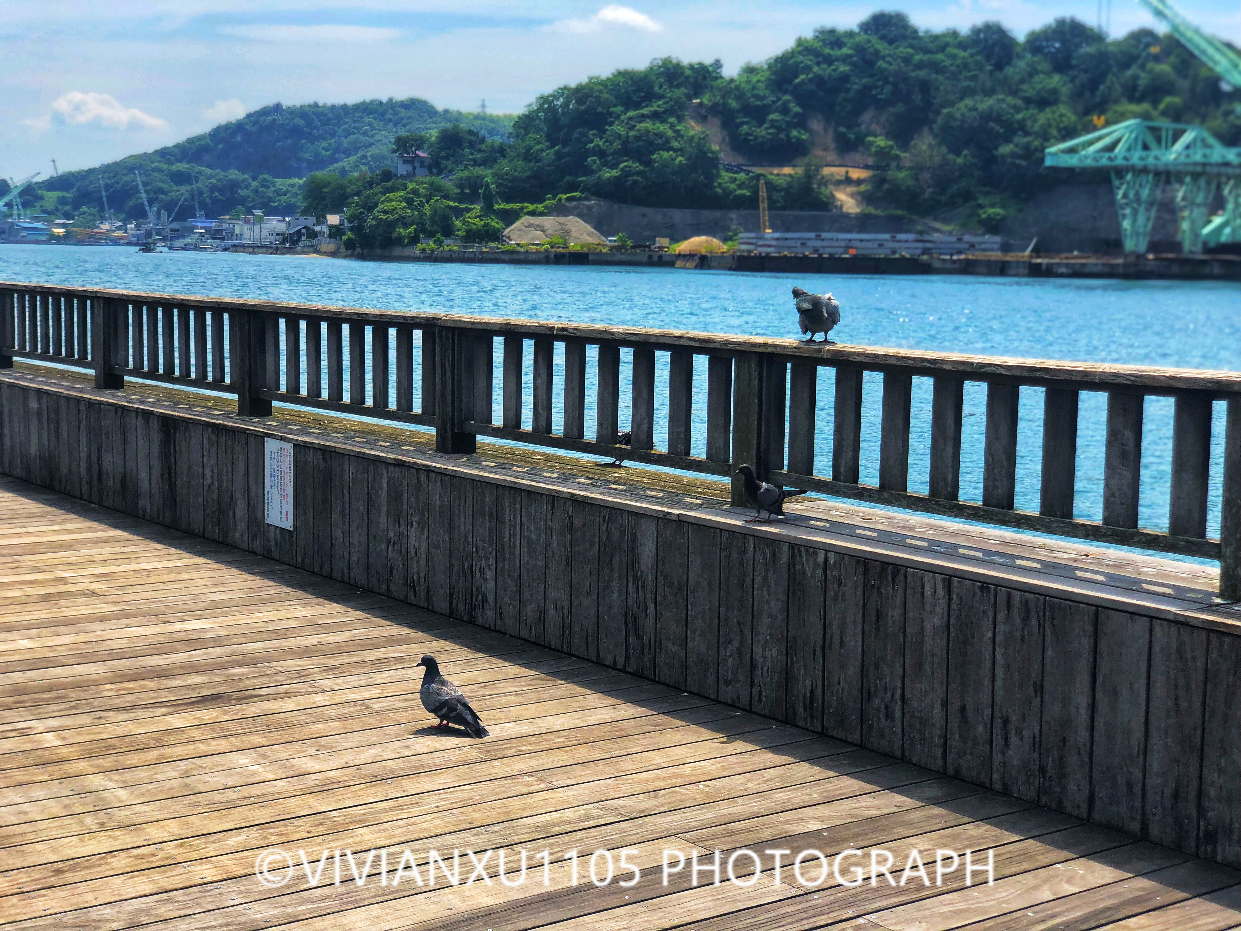 日本本州岛山阴山阳地区纯玩行程美图合集