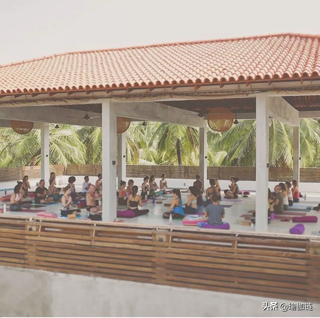 普吉岛瑜伽之旅,世界瑜伽圣地在哪里