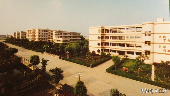 盛泽的同学们，还记得那个赤鼻子老师吗？