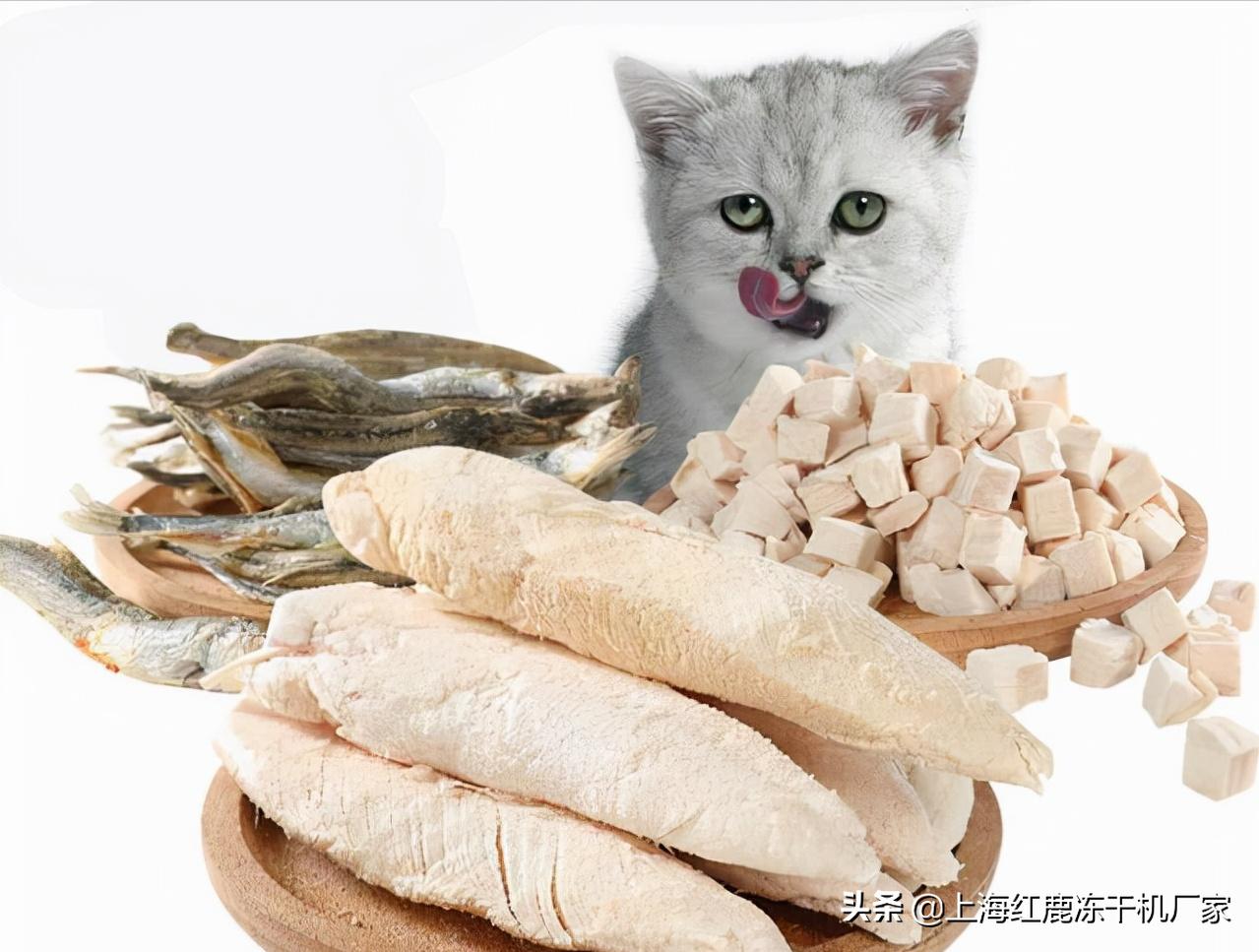 自制宠物冻干鸡肉怎么做的,鸡肉冻干的制作方法狗狗