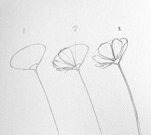 画花怎么才能画好看呢,教大家一个画花技巧