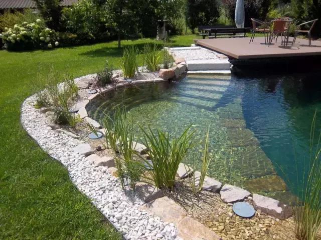 养鱼池净化水质的设备详细过程,养鱼池水质净化设备