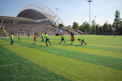 足球历史上一个队最多几张红牌,足球球员的历史