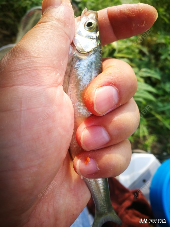 忙里偷闲的出来钓个鱼,忙里偷闲钓鱼